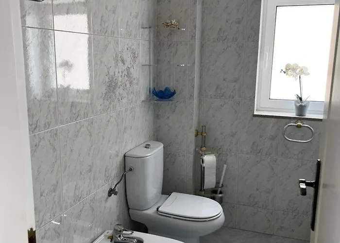 Flipflops Starfish Apartment